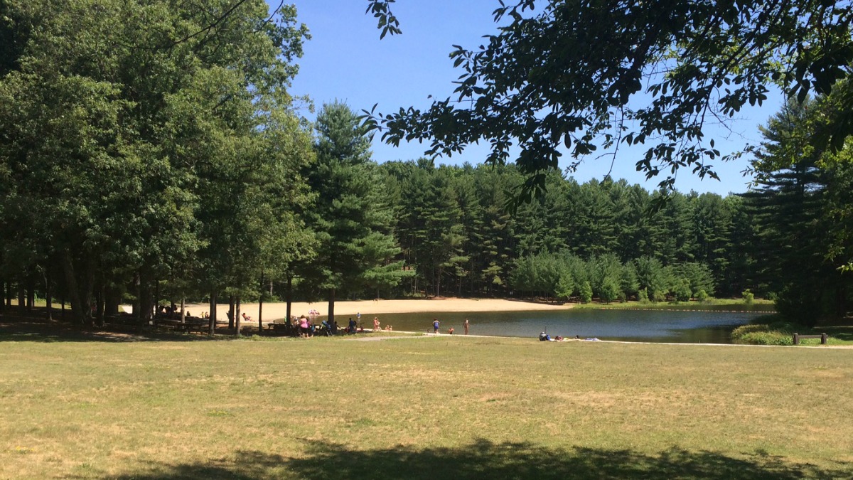 Stratton Brook State Park Visit CT